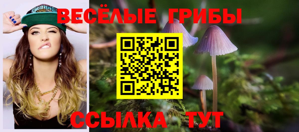 Псилоцибиновые грибы GOLDEN TEACHER Анжеро-Судженск
