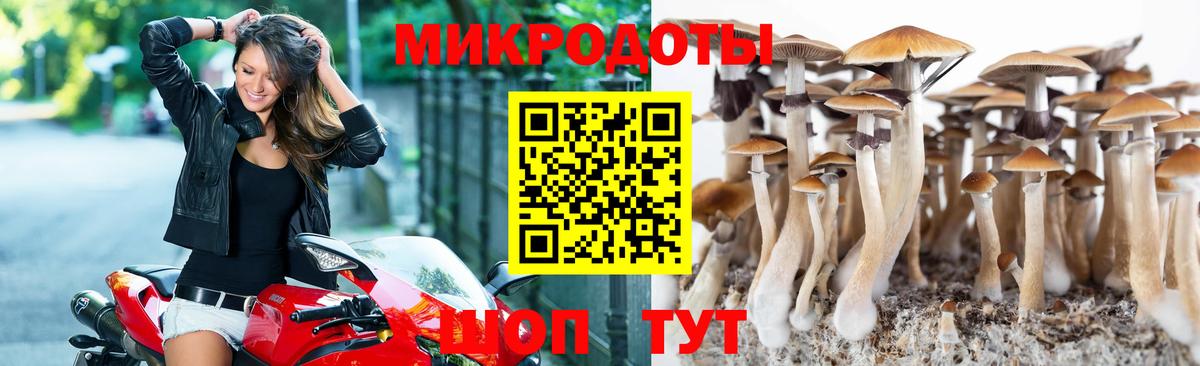 Анжеро-Судженск  Галлюциногенные грибы мухоморы  Вход с VPN  Псилоцибиновые грибы Psilocybe 