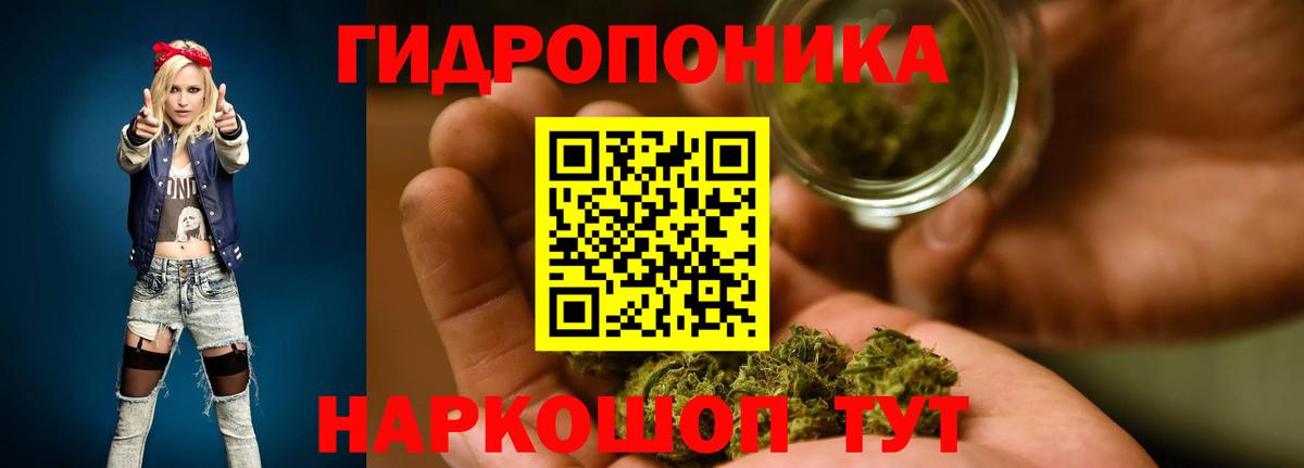 Каннабис LSD WEED  Шишки марихуана конопля  Анжеро-Судженск  Бошки Шишки индика  Вход с VPN  Конопля SATIVA & INDICA 